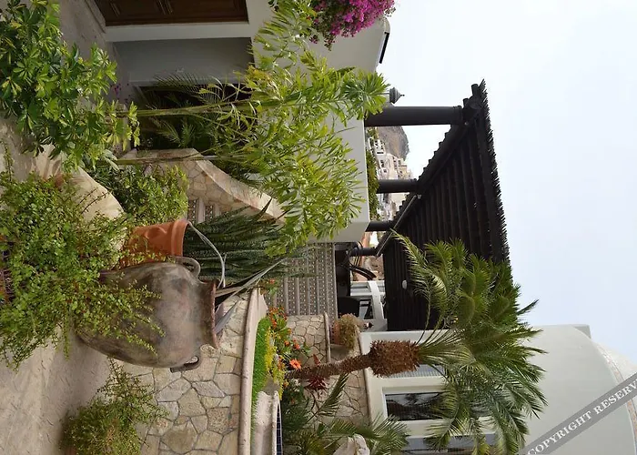 Villa Las Flores Cabo San Lucas